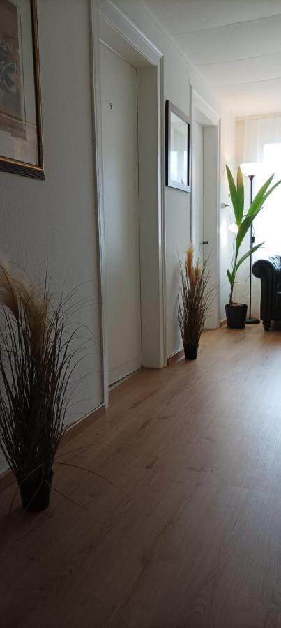 Ntn House Bed & Breakfast St. Gallen Exterior photo